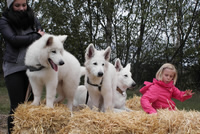 forrest, fiona, coralie